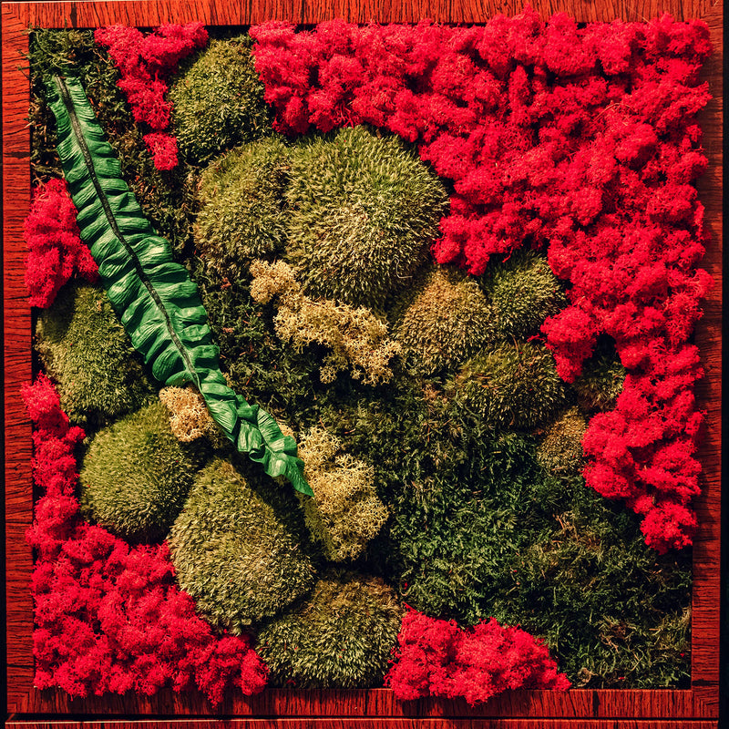 Mosser Lee ML3020 Assorted Reindeer Decorative Moss, 3 ounce - NewNest Australia