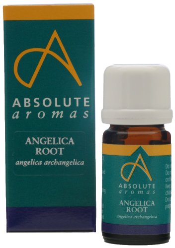 Absolute Aromas Angelica Root (angelica archangelica) Essential Oil 2ml - 100% Pure, Natural, Vegan, Undiluted and Cruelty-Free - For use in Diffusers and Aromatherapy Blends - NewNest Australia