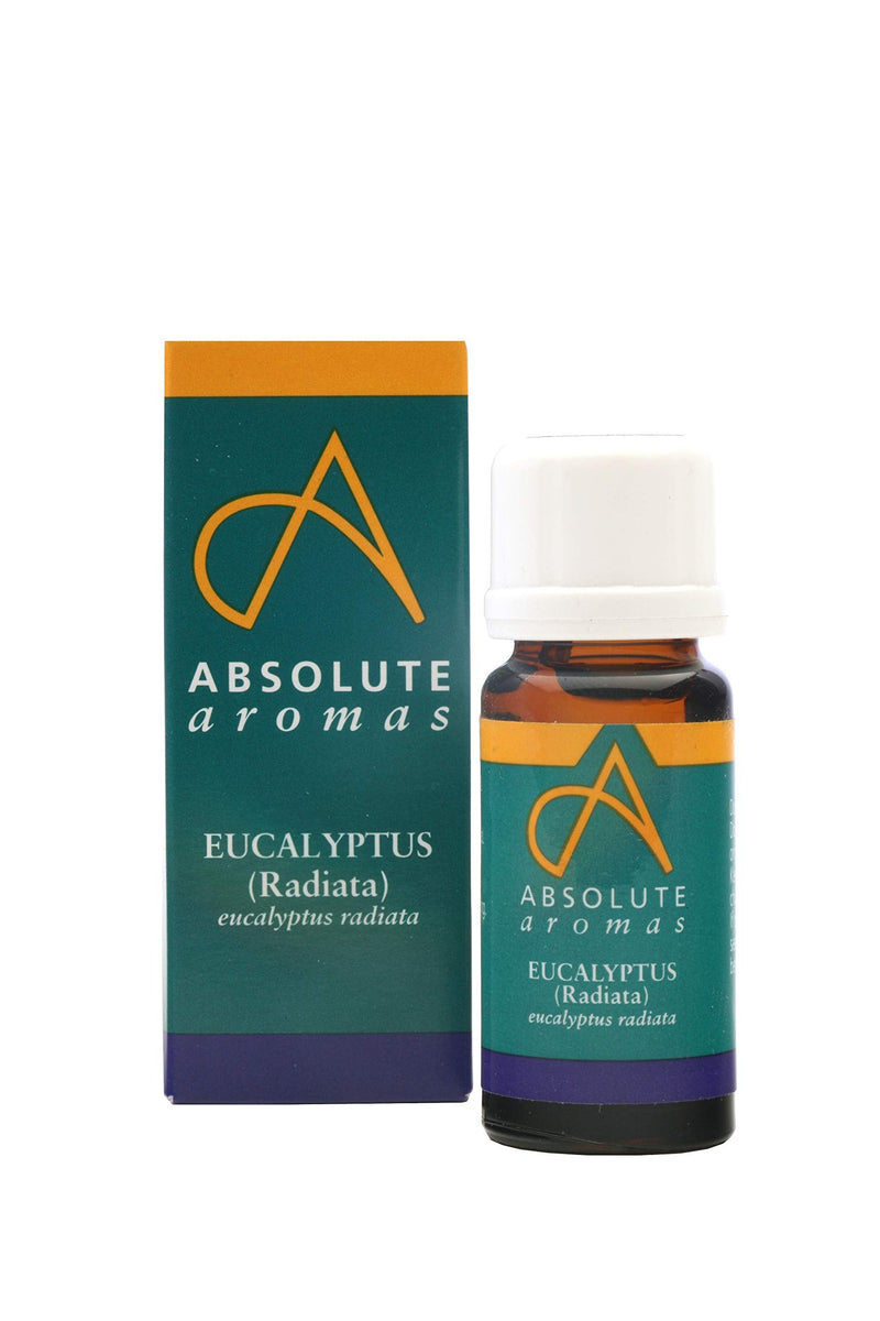 Absolute Aromas Eucalyptus Radiata (Australiana) Essential Oil 10ml - 100% Pure, Natural, Undiluted, Vegan and Cruelty-Free - for use in Diffusers and Aromatherapy Blends 10 ml (Pack of 1) - NewNest Australia