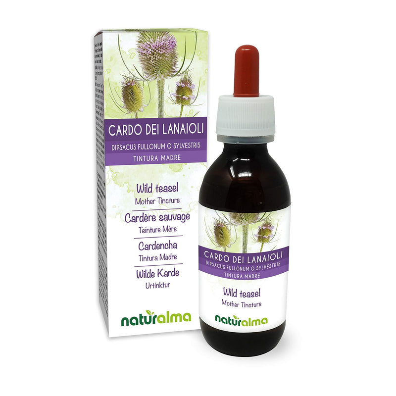 Wild Teasel or Fuller’s Teasel (Dipsacus fullonum or D. sylvestris) Roots Alcohol-Free Mother Tincture Naturalma | Liquid Extract Drops 120 ml | Food Supplement | Vegan - NewNest Australia