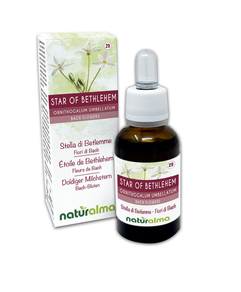 Star of Bethlehem (Ornithogalum umbellatum) Naturalma Bach Flowers | No. 29 | Drops 30 ml | Alcohol-Free Liquid Extract | Flower essences | Vegan and Without Alcohol 29- Star of Bethlehem - NewNest Australia