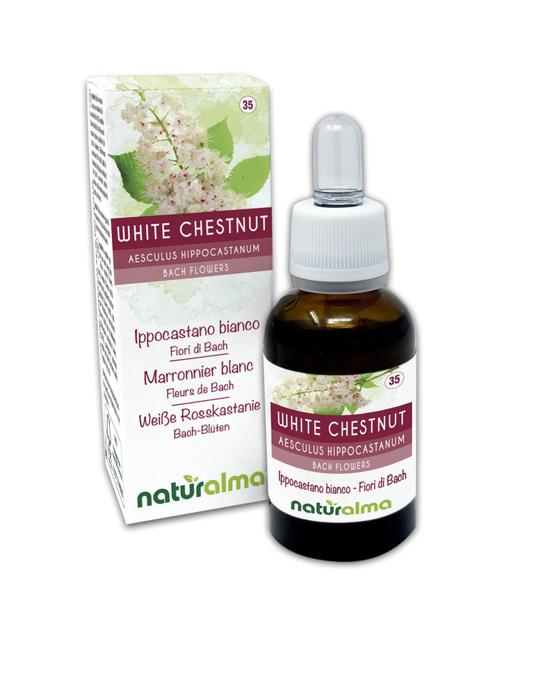 White Chestnut (Aesculus hippocastanum) Naturalma Bach Flowers | No. 35 | Drops 30 ml | Alcohol-Free Liquid Extract | Flower essences | Vegan and Without Alcohol - NewNest Australia