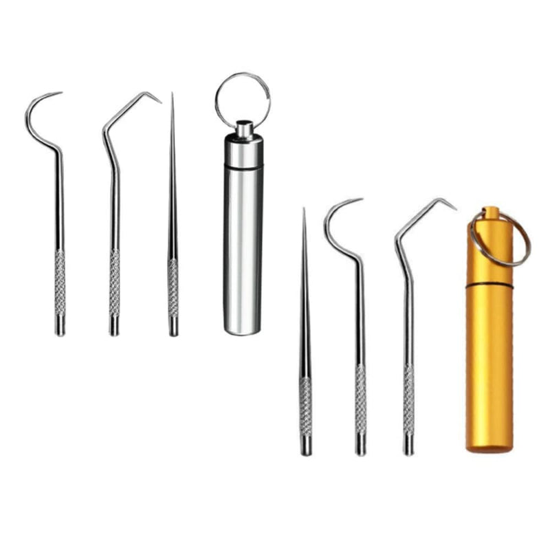 2 Set/ 6Pcs Pocket Toothpick Holder Keychain Toothpicks Set Titanium Toothpick Cleaning Tooth Hook Scraper Metal Toothpick Holder Dental Picks for Camping Picnic Outdoor - NewNest Australia